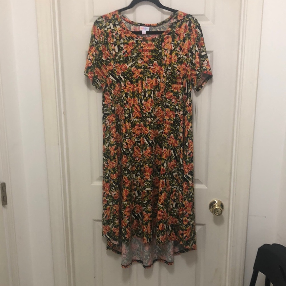 NWT Lula Roe dress floral dress, great fall colors